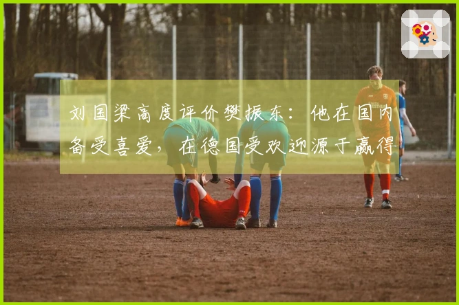 刘国梁高度评价樊振东：他在国内备受喜爱，在德国受欢迎源于赢得尊重