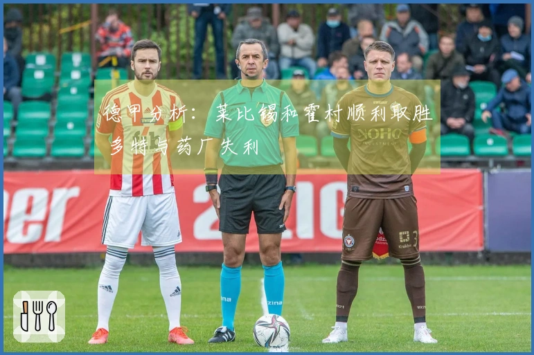 德甲分析：莱比锡和霍村顺利取胜 多特与药厂失利